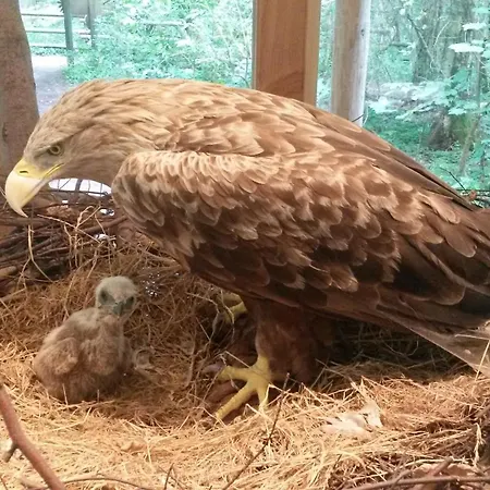 Gasthof Deluxe Zw Plöner U Ostsee